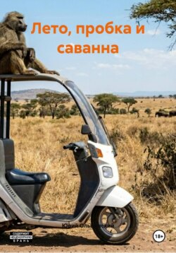Лето, пробка и саванна