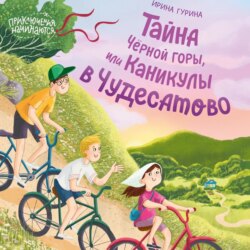 Тайна Черной горы, или Каникулы в Чудесатово