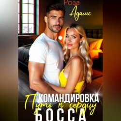 Командировка. Путь к сердцу босса.