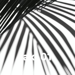 ak_01