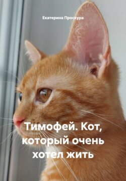 Тимофей. Кот, который очень хотел жить