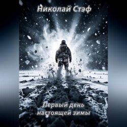 Первый день настоящей зимы