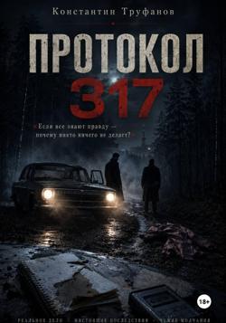 Протокол 317