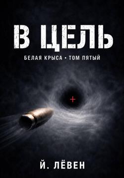 В цель