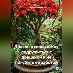 Дракон в горшке. Как подружиться с драценой и не погубить её заботой