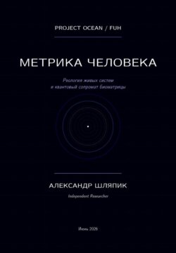 Метрика человека (мы подобие океана)