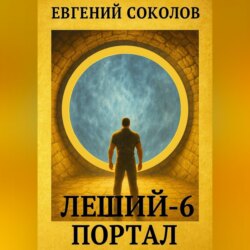 Леший-6. Портал