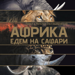 Африка. Едем на сафари