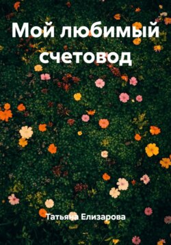 Мой любимый счетовод