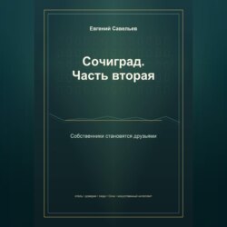 Сочиград. Часть вторая: собственники становятся друзьями
