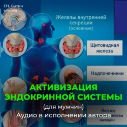 Активизация эндокринной системы (для мужчин)