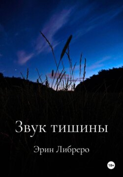 Звук тишины