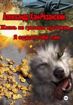 Жизнь из грязных кусочков... Я создал себе сам!