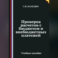 Проверка расчетов с бюджетом и внебюджетных платежей