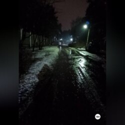 БОЛОТНЫЙ МИР