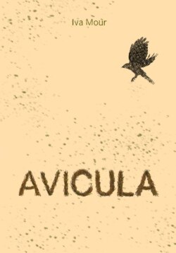 Avicula