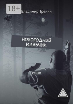 Новогодний мальчик. Роман