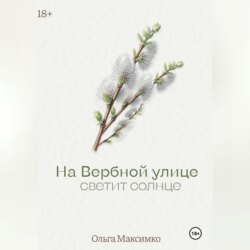 На Вербной улице светит солнце