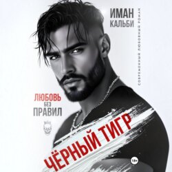 Черный Тигр. Любовь без правил