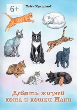 Девять жизней кота и кошки Мани