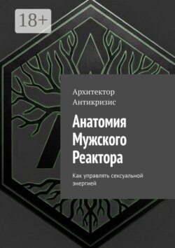 Анатомия мужского реактора. Как управлять сексуальной энергией