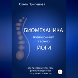 Биомеханика позвоночника в асанах йоги