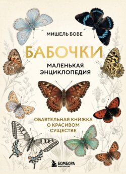 Бабочки! Маленькая энциклопедия. Обаятельная книжка о красивом существе