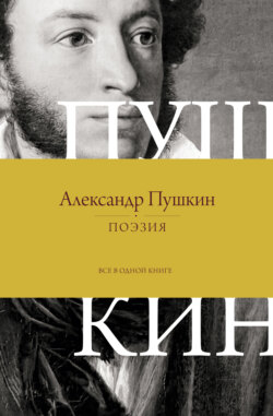 Поэзия. Все в одной книге