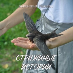 Стрижиные истории