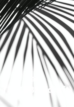 av- TEST8835(draft)