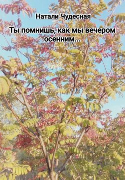 Ты помнишь, как мы вечером осенним...