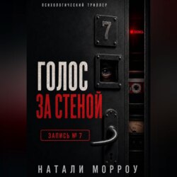 Голос за стеной. Запись 7