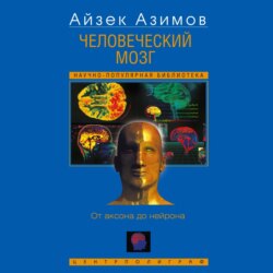 Человеческий мозг. От аксона до нейрона
