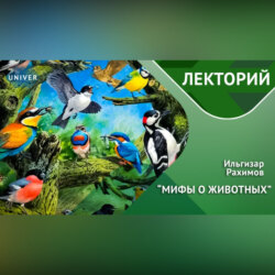 ПТИЦЫ / вы точно этого не знали
