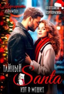 Тайный Санта. Кот в мешке