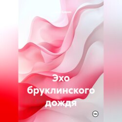 Эхо бруклинского дождя