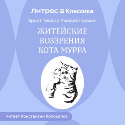 Житейские воззрения кота Мурра