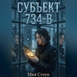 СУБЪЕКТ 734-В