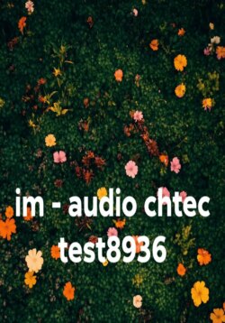 im - audio chtec test8936