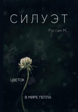 Силуэт