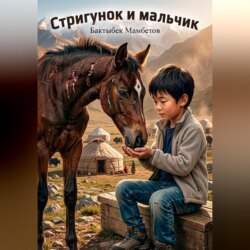 Стригунок и мальчик
