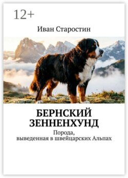 Бернский зенненхунд. Порода, выведенная в швейцарских Альпах