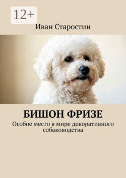 Бишон фризе. Особое место в мире декоративного собаководства