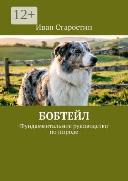 Бобтейл. Фундаментальное руководство по породе