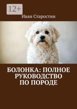 Болонка: полное руководство по породе