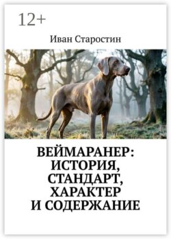 Веймаранер: История, стандарт, характер и содержание