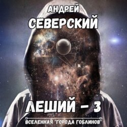 Леший-3. Алгоритм Системы