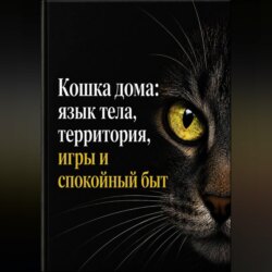 Кошка дома: язык тела, территория, игры и спокойный быт