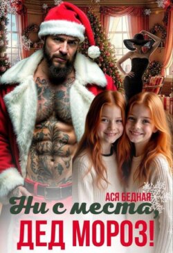 Ни с места, Дед Мороз!