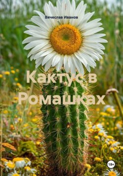 Кактус в Ромашках